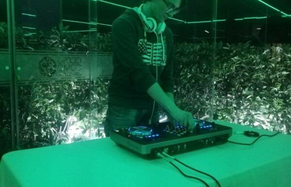 DJ LUKE Galleria 1