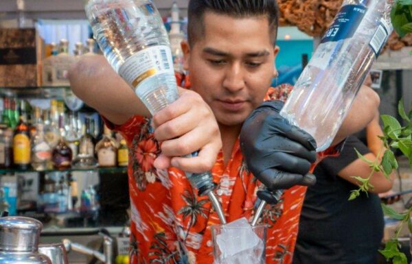 kM19 Bartender Galleria 1
