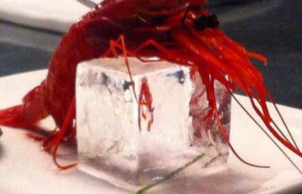 MISTER ICE Galleria 4