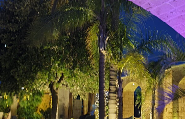 La Verbena – Location Eventi Galleria 6