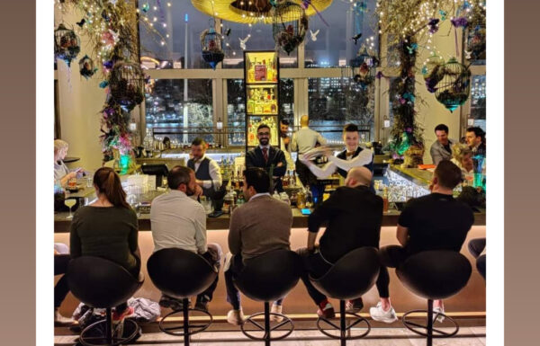 Sir Barman Galleria 2