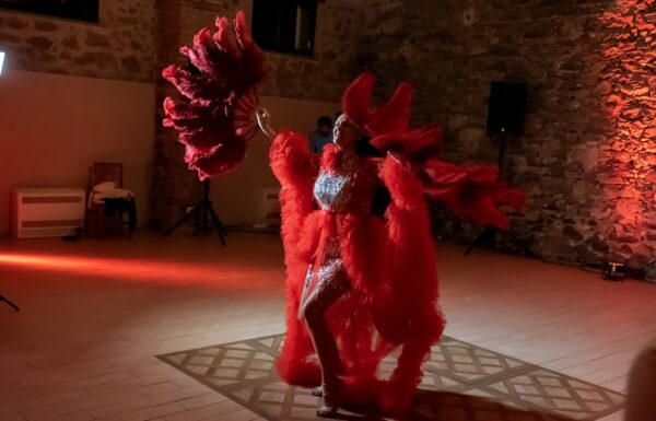 Addio al nubilato/festa a sorpresa Galleria 6