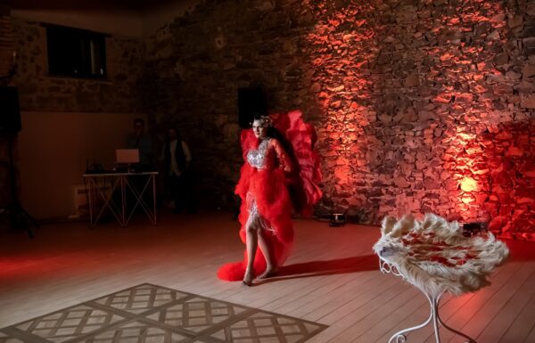 Addio al nubilato/festa a sorpresa Galleria 5
