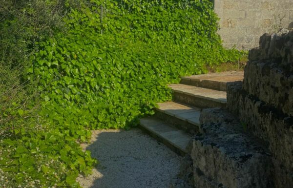 Tenuta Butterfly – Location con Piscina Galleria 7
