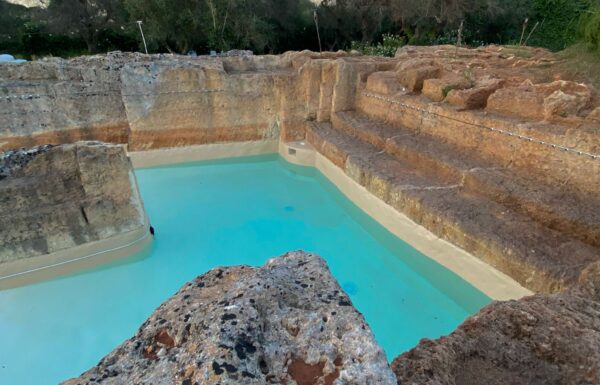 Tenuta Butterfly – Location con Piscina Galleria 4